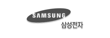 Samsung Electronics